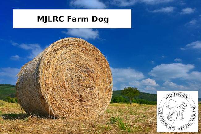 Event Logo for Farm Dog Certification