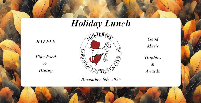 Event Logo for Holiday Party