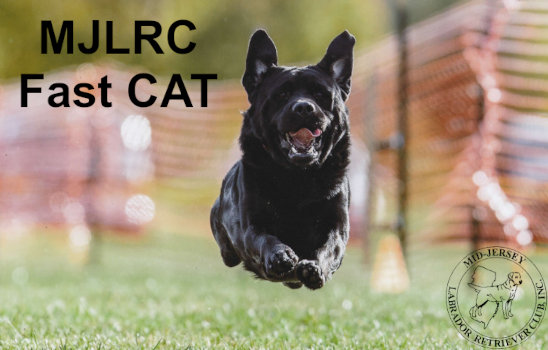 Event Logo for Spring Fast CAT